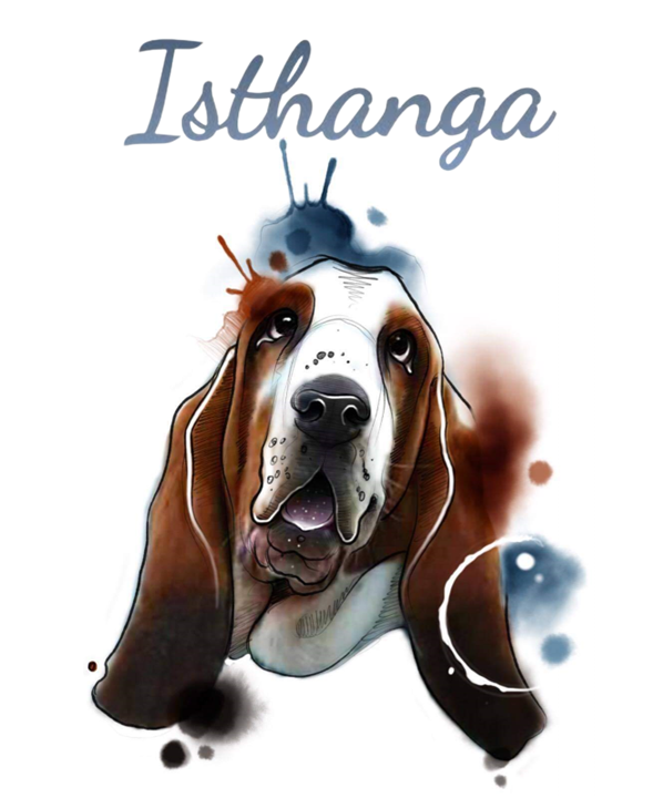 D'Isthanga